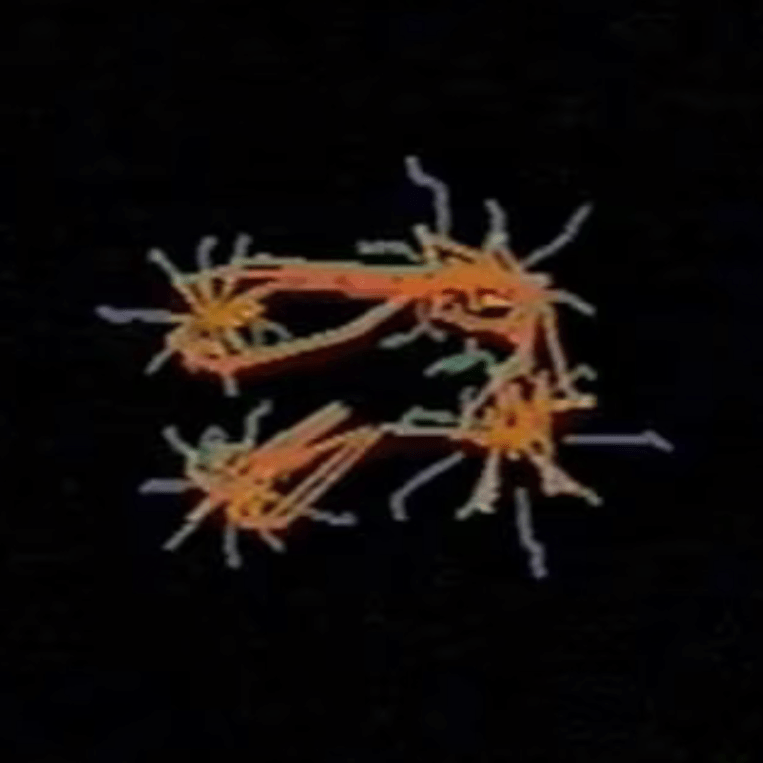 Smallworld phase 2,&nbsp;videos